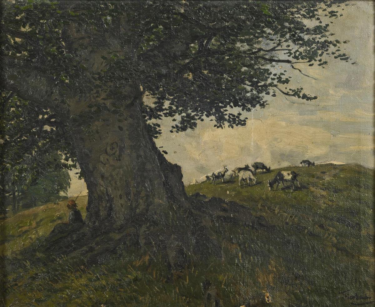Hirtenbuche